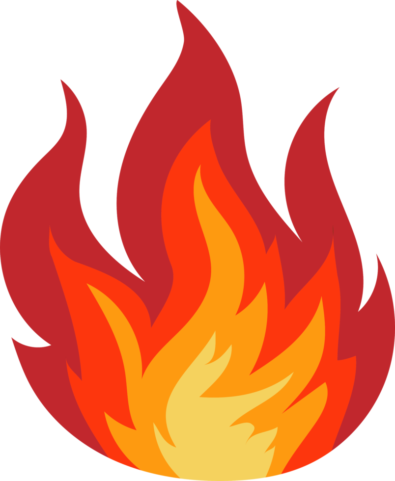 Burn Survivor Groups